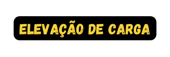 ELEVAÇÃO DE CARGA